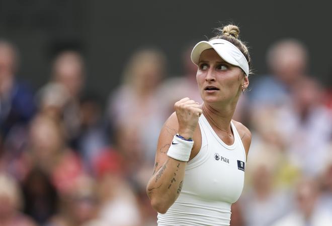 引擎收录的 引擎收录的