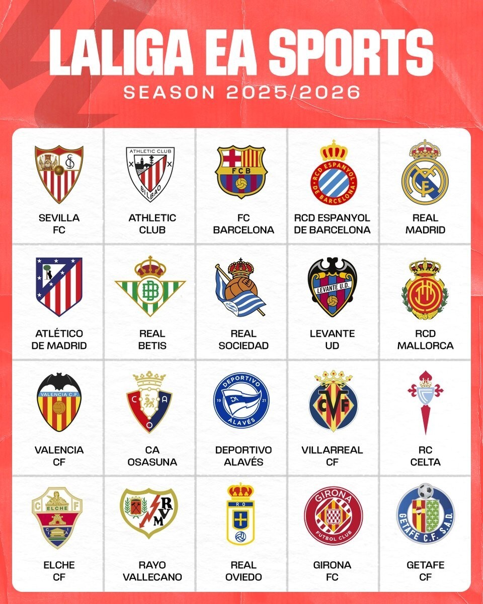 双败结构下 双败结构下