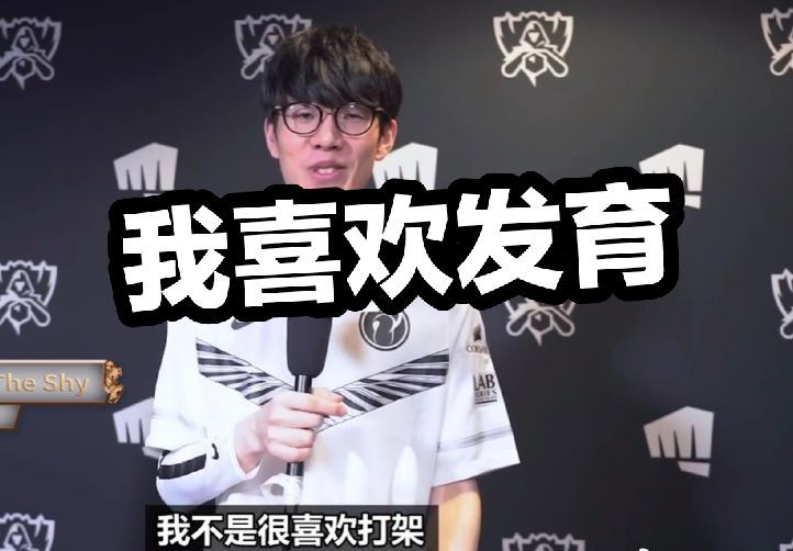 可验证字段 可验证字段