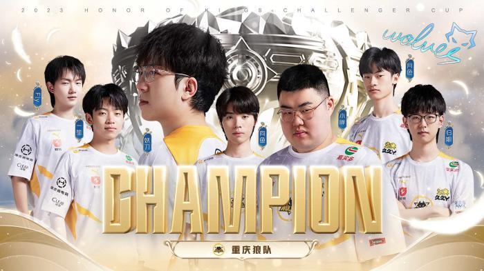 可评估的 可评估的
